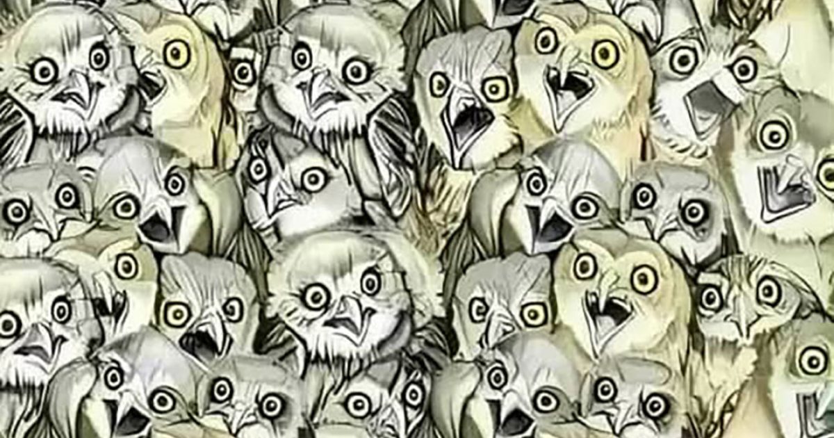 Seuls les plus observateurs trouveront le chat