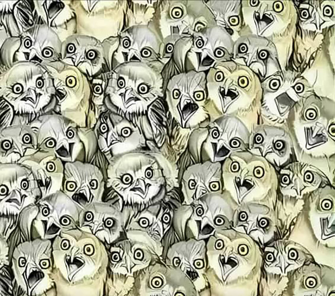 Seuls les plus observateurs trouveront le chat