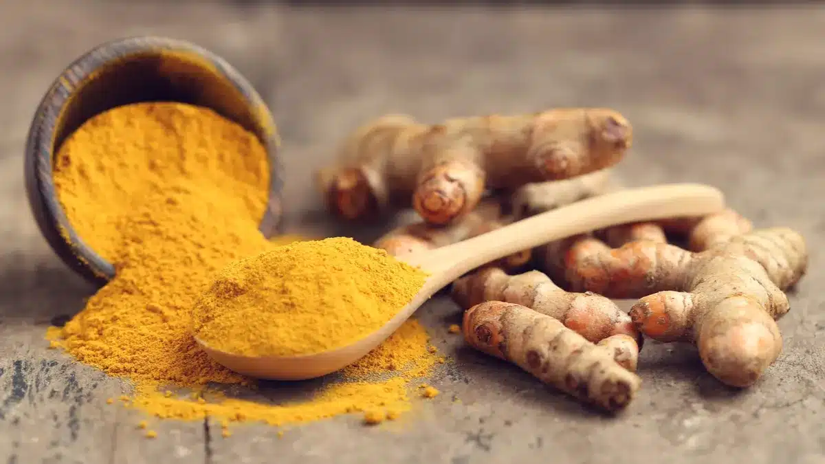 Poudre de curcuma