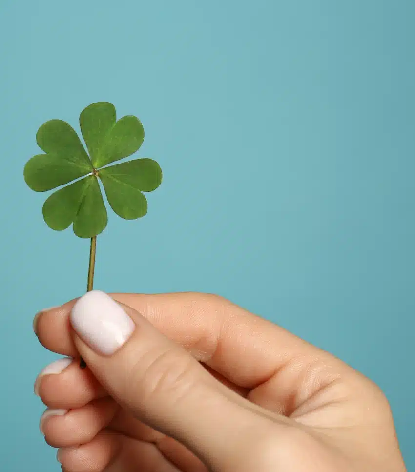 Trèfle à quatre feuilles symbole de chance