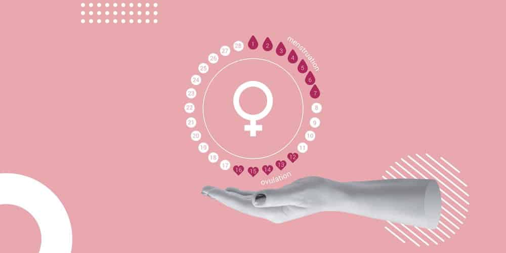 Cycle menstruel irrégulier