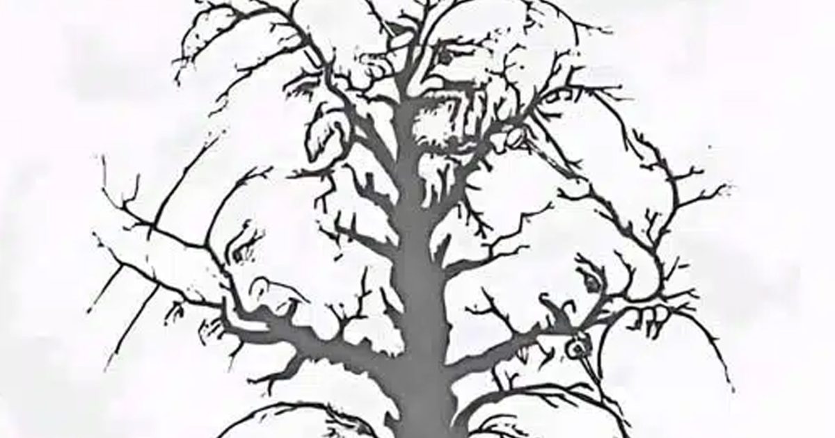 Si vous arrivez à identifier tous les visages cachés dans cette illusion en moins de dix secondes, c’est que vous avez une vue exceptionnelle