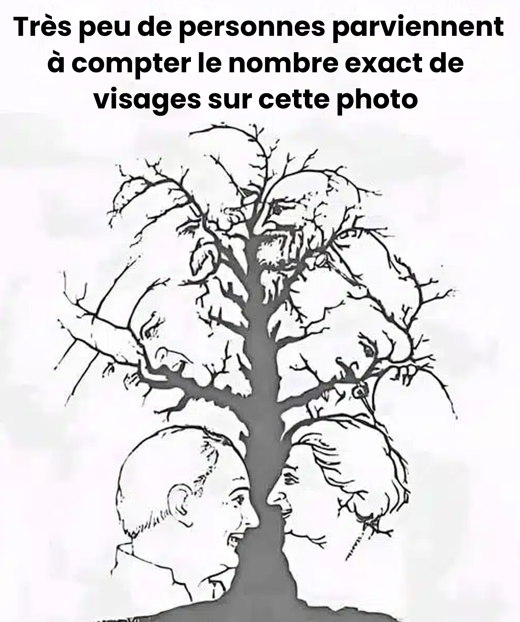 Si vous arrivez à identifier tous les visages cachés dans cette illusion en moins de dix secondes, c’est que vous avez une vue exceptionnelle