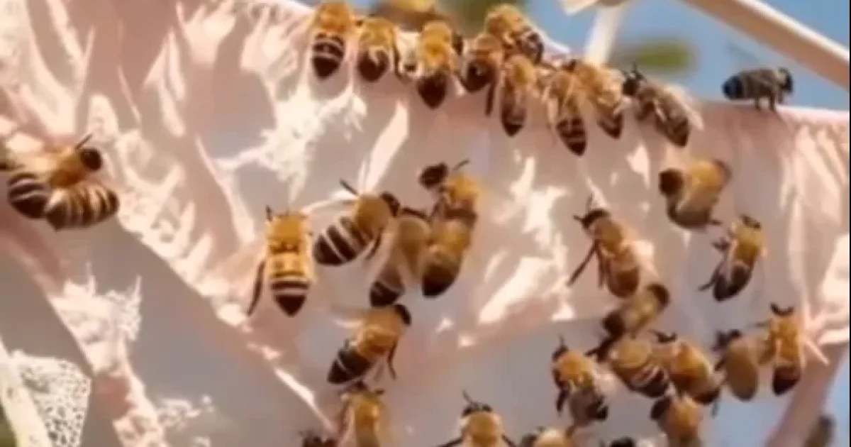 Si vous remarquez ceci dans vos sous-vêtements, en voici la signification