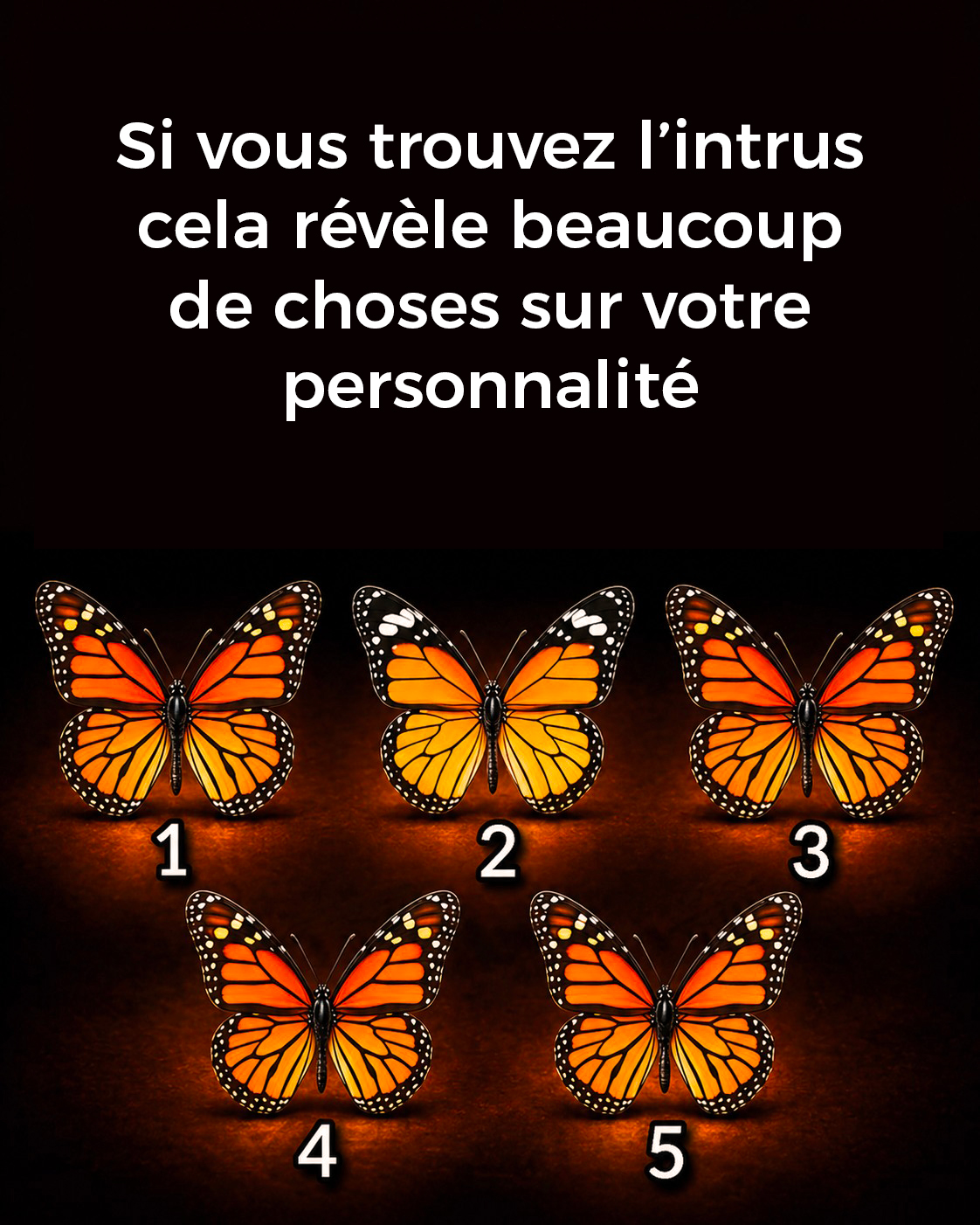 Si vous trouvez l’intrus cela révèle beaucoup de choses sur votre personnalité