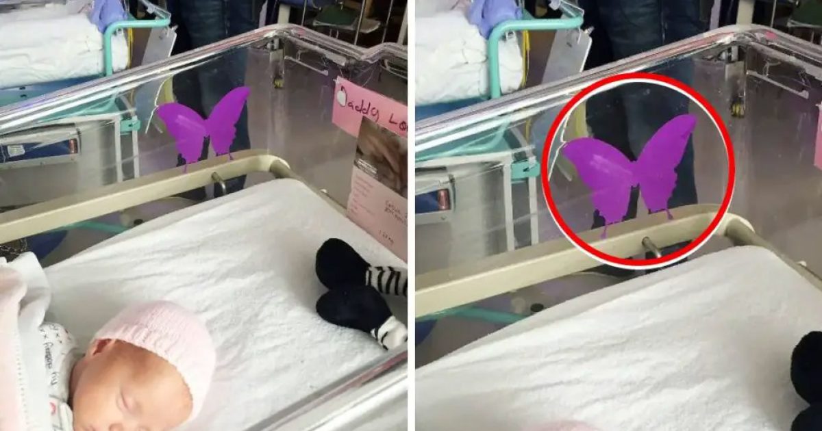 Si vous voyez un autocollant en forme de papillon violet près d’un nouveau-né, vous devez absolument en connaître la signification