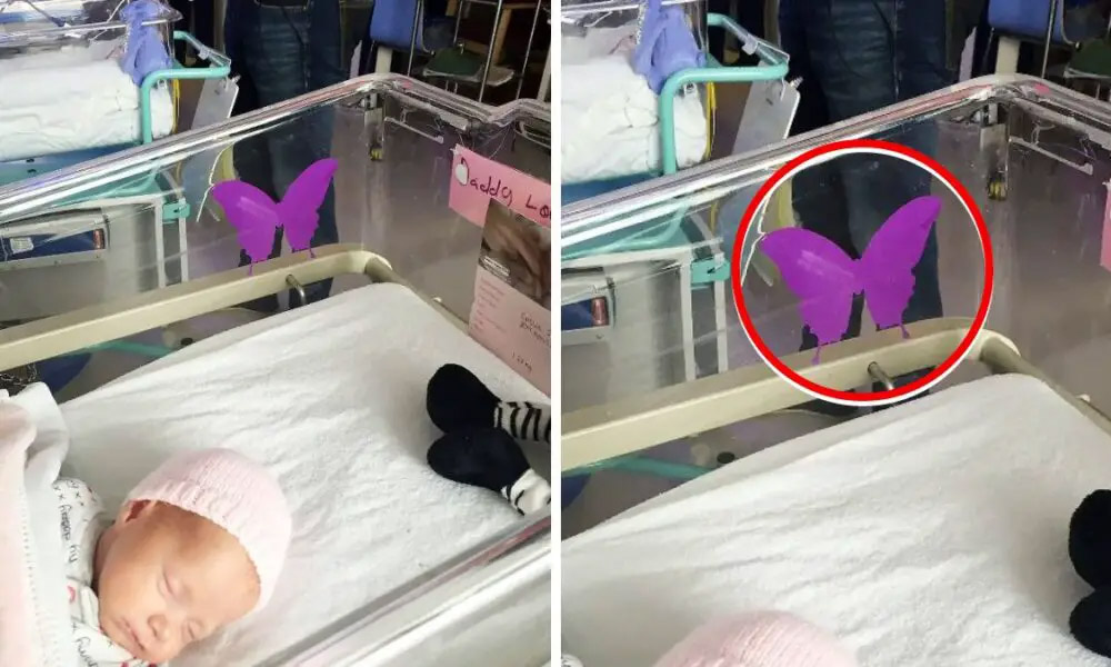 Si vous voyez un autocollant en forme de papillon violet près d’un nouveau-né, vous devez absolument en connaître la signification