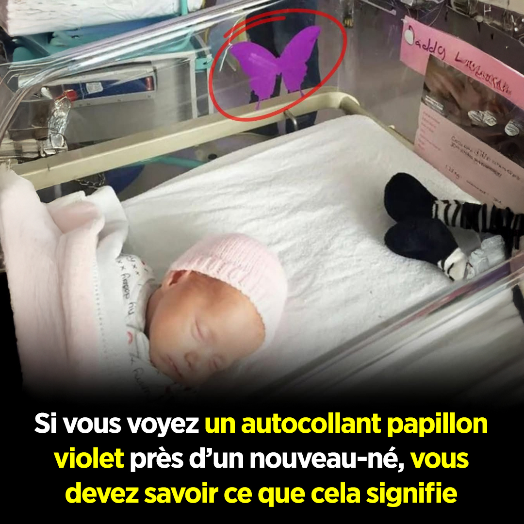 Si vous voyez un autocollant papillon violet près d’un nouveau-né, voici ce que cela signifie