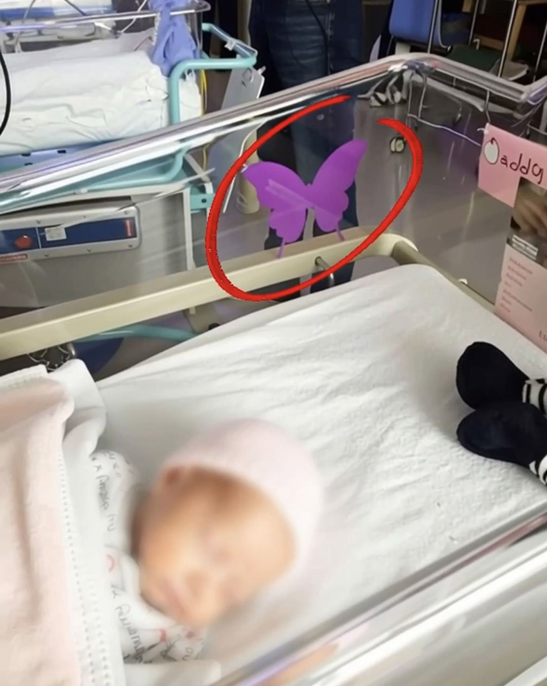 Si vous voyez un autocollant papillon violet près d’un nouveau-né, voici ce que cela signifie