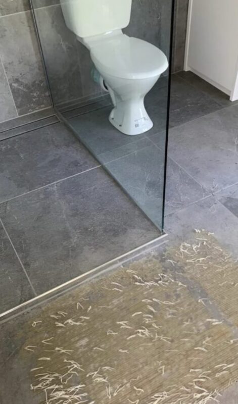 Salle de bain : cette mère panique en découvrant des « vers » sous son tapis, la vérité est surprenante