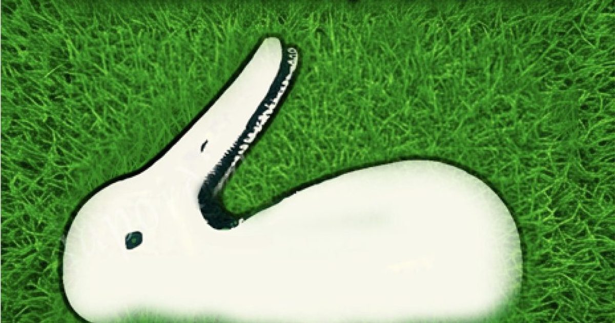 Test : canard ou lapin : ce que vous voyez en premier révèle votre personnalité