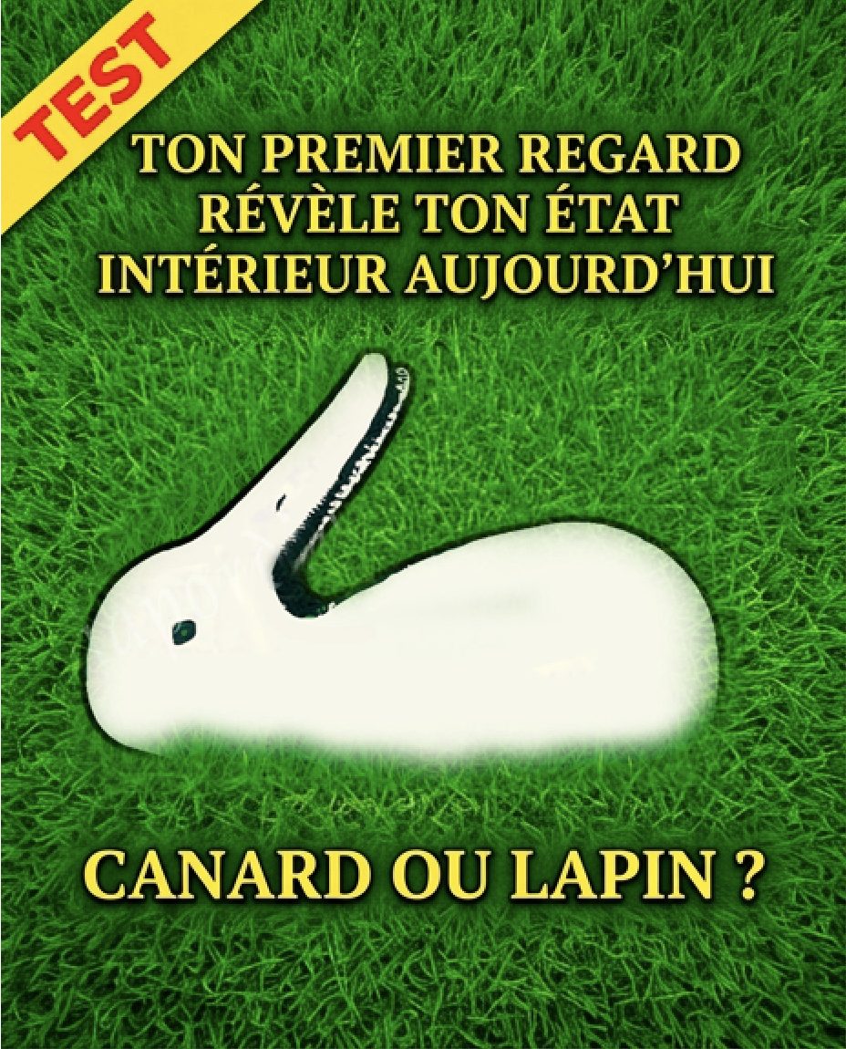 Test : canard ou lapin : ce que vous voyez en premier révèle votre personnalité