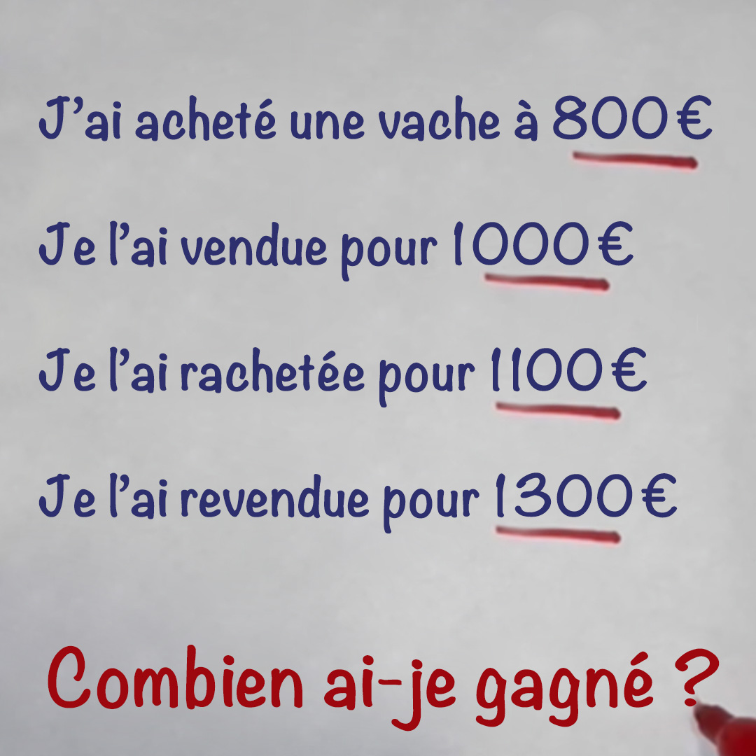 Test : J’ai acheté une vache pour 800 €