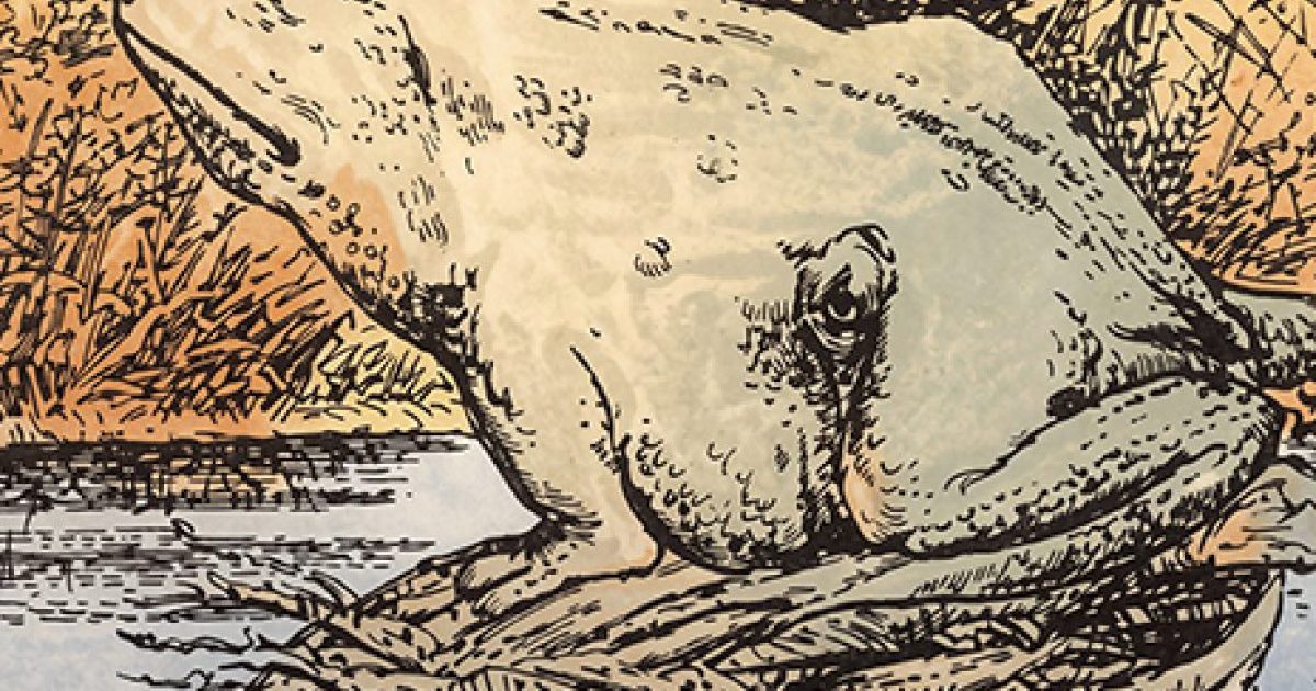 Test : qu’avez-vous vu en premier : une grenouille ou un cheval ? Votre réponse en dit long sur vous