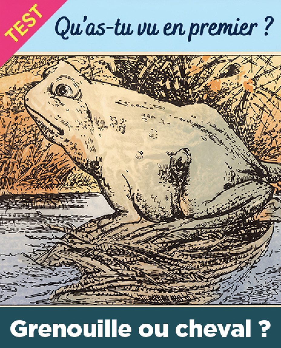 Test : qu’avez-vous vu en premier : une grenouille ou un cheval ? Votre réponse en dit long sur vous