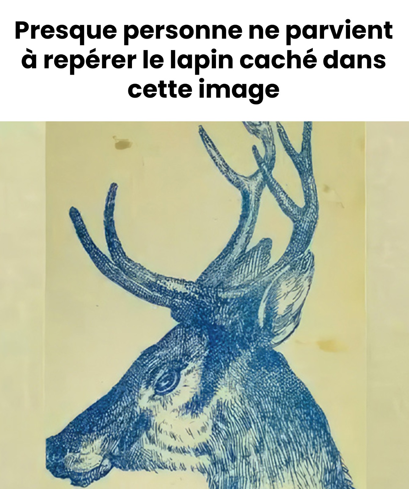 Test : saurez-vous repérer le lapin caché dans le cerf en moins de 9 secondes ?