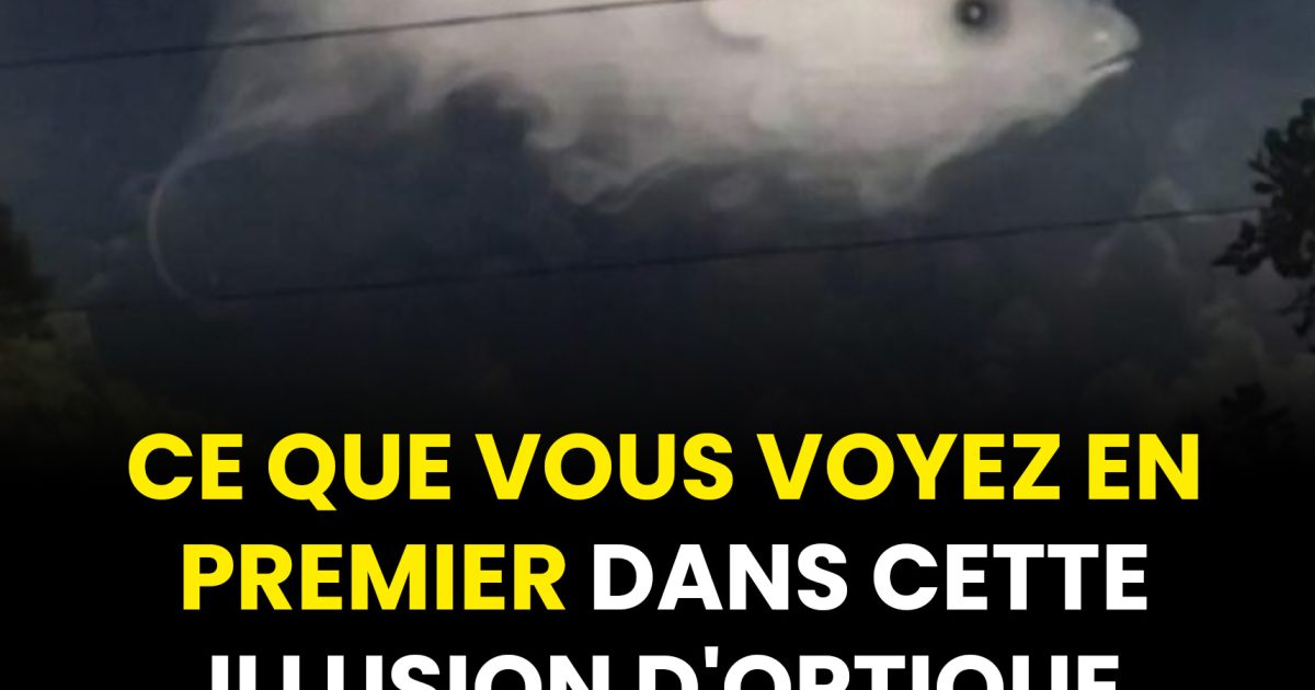 Test visuel : ce que vous remarquez en premier en dit long sur votre personnalité