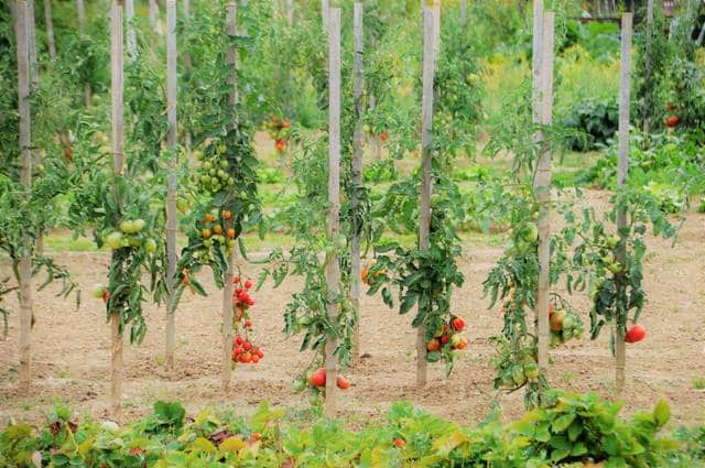 Jardinage naturel