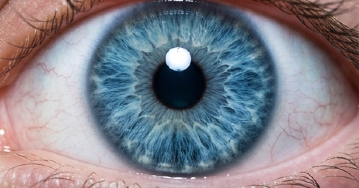 Tous les gens aux yeux bleus ont ceci en commun