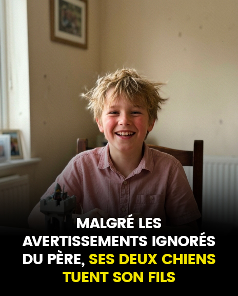 Tragédie survenue après qu’un père a ignoré les avertissements lui interdisant de laisser son fils de 11 ans vivre dans un appartement avec deux chiens Cane Corso