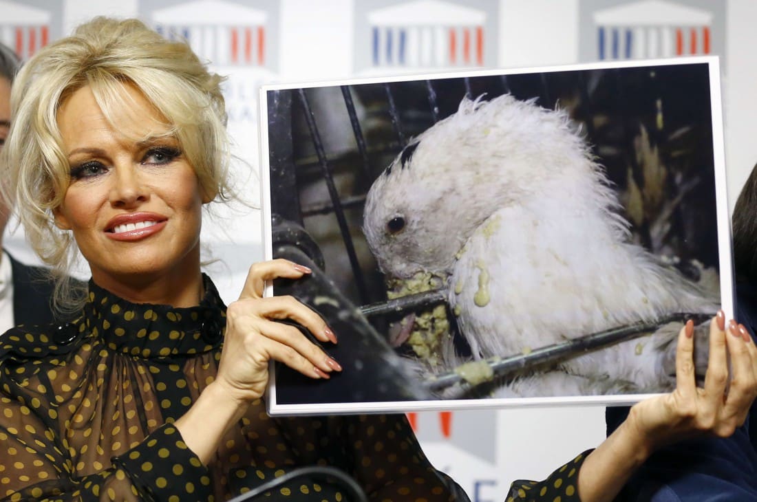 Pamela Anderson militant pour les droits des animaux