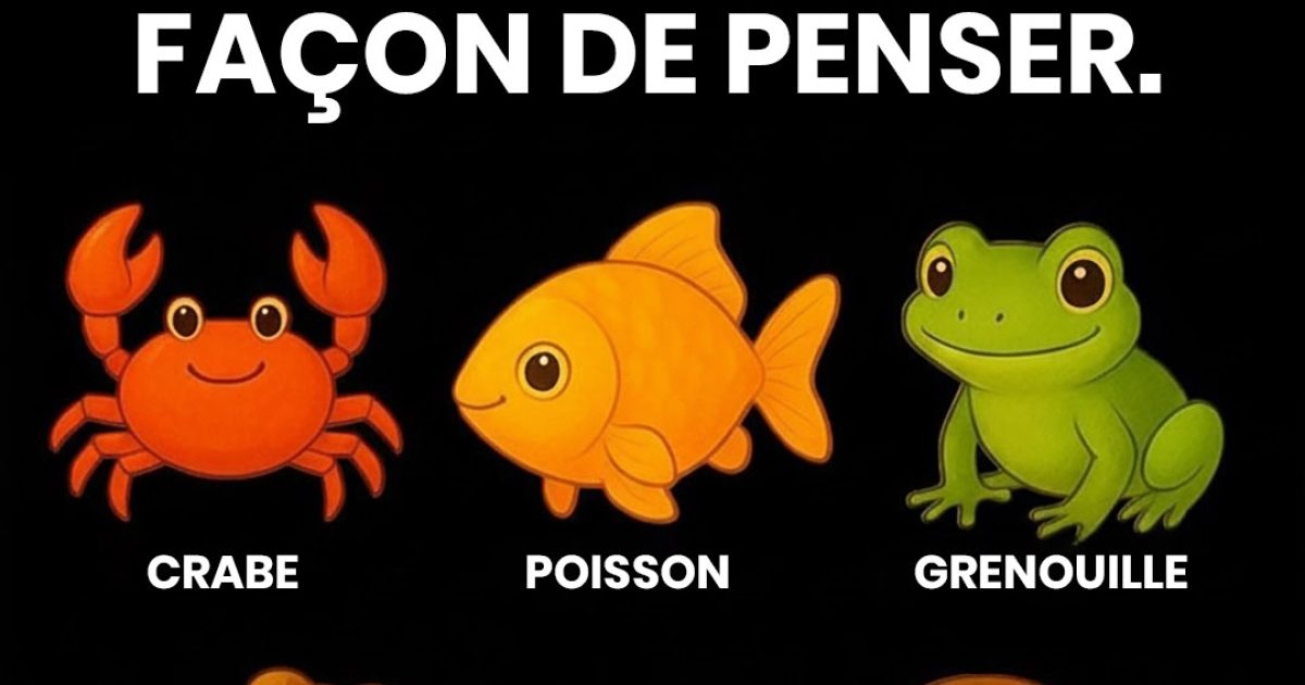 Trouvez l’intrus permet de mieux comprendre votre façon de penser