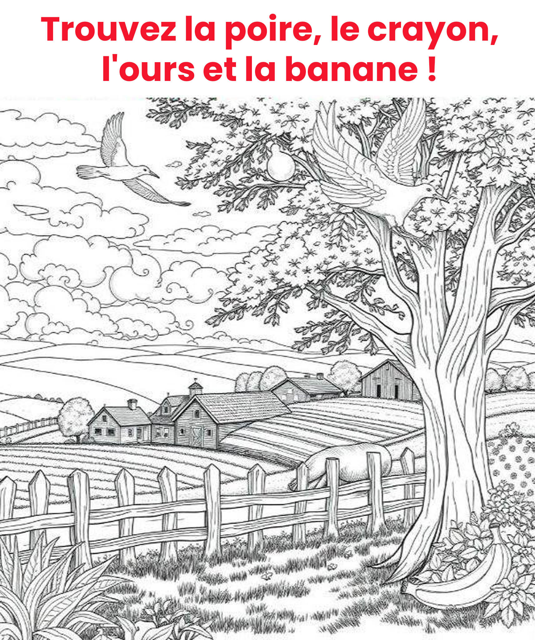 Trouvez une poire, un crayon, un ours et une banane