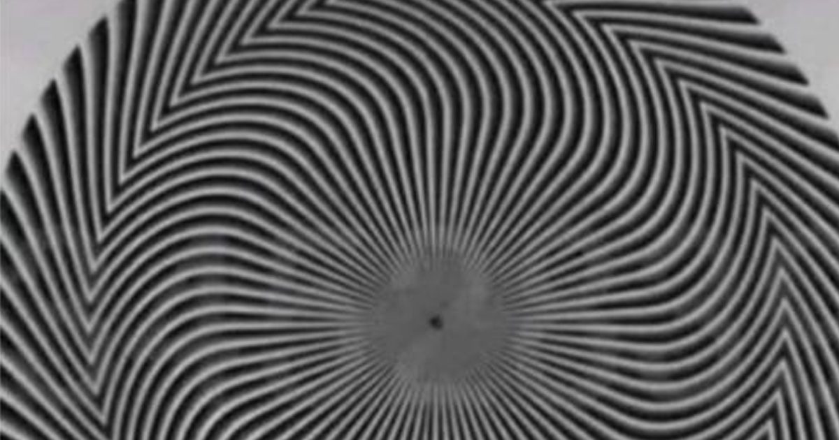 Un chiffre est caché dans cette illusion d’optique — et tout le monde ne l’a pas perçu de la même manière