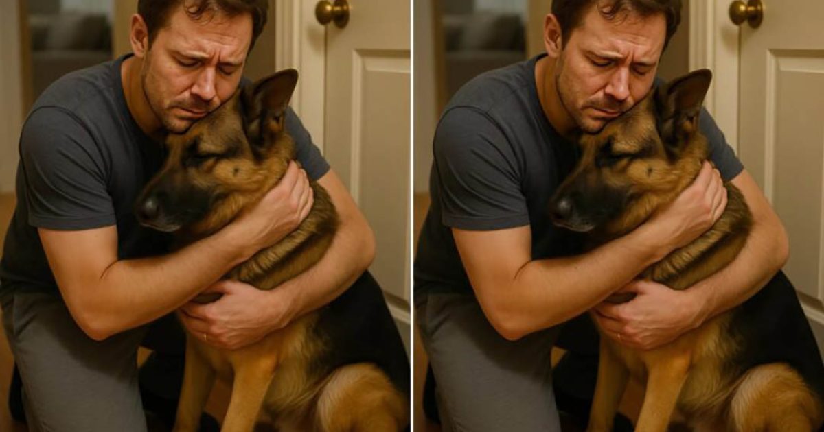 Un couple pensait devoir se séparer de leur chien… Mais en revoyant les images des caméras, tout a basculé