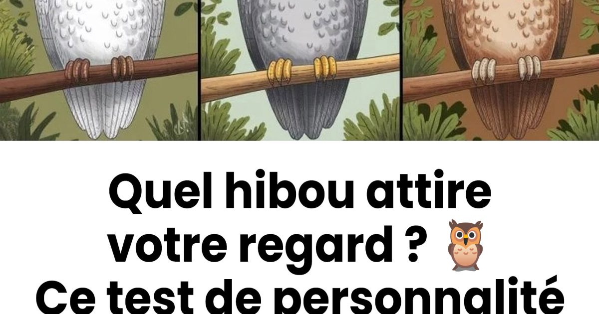 Un hibou vous interpelle plus que les autres ? Découvrez ce que cela dit sur votre intelligence