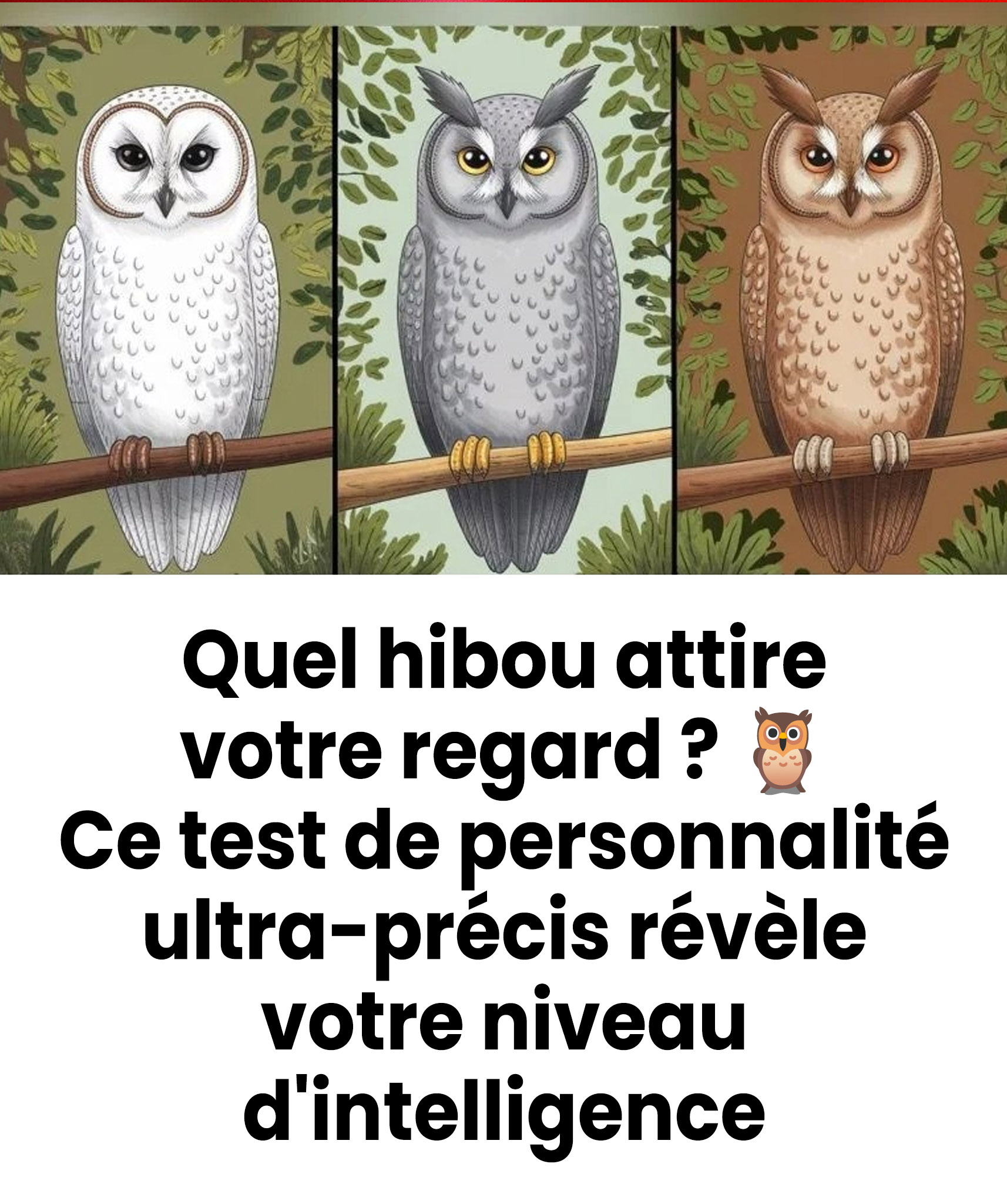 Un hibou vous interpelle plus que les autres ? Découvrez ce que cela dit sur votre intelligence