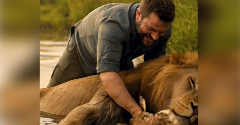Un homme a sauvé un lion de la noyade… mais une fois sur la berge, l’animal a fait quelque chose d’inattendu