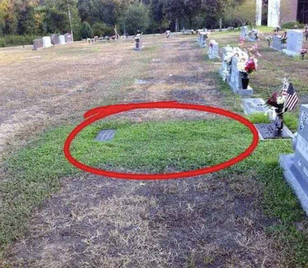 Un homme mystérieux se recueille régulièrement sur la tombe d’un jeune soldat. Lorsqu’un jour, la mère de ce dernier découvre la véritable raison de ses visites, elle n’a plus qu’une idée en tête : le retrouver, coûte que coûte…