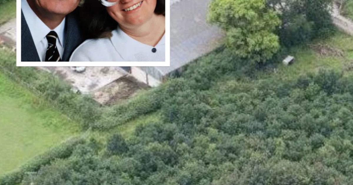 Un mari plante 6 000 arbres en hommage à son épouse disparue — 15 ans plus tard, des photos dévoilent sa véritable motivation