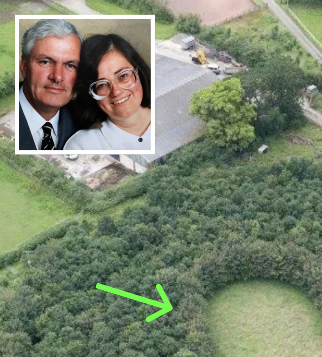 Un mari plante 6 000 arbres en hommage à son épouse disparue — 15 ans plus tard, des photos dévoilent sa véritable motivation