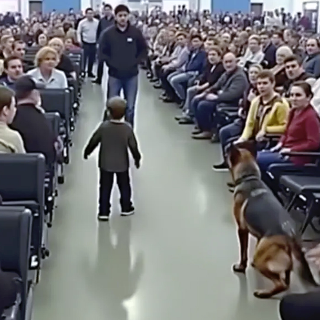 Un petit garçon pleure devant le portail — le chien policier perçoit quelque chose que personne d’autre ne remarque