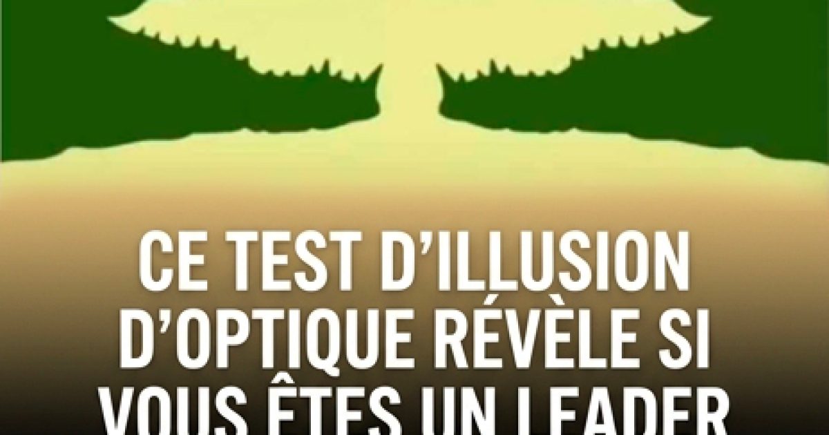 Un test d'illusion d'optique permet de déterminer si vous êtes plutôt un leader ou un suiveur