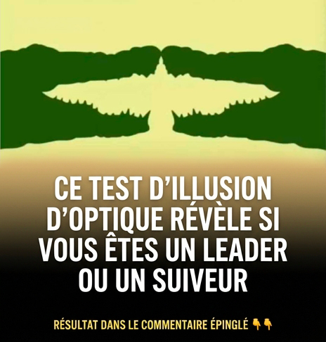 Un test d'illusion d'optique permet de déterminer si vous êtes plutôt un leader ou un suiveur
