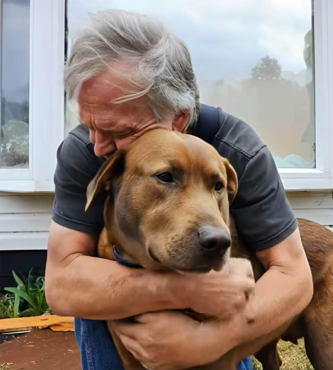 Un vieil homme est arrivé dans une clinique vétérinaire en demandant qu’on euthanasie son chien