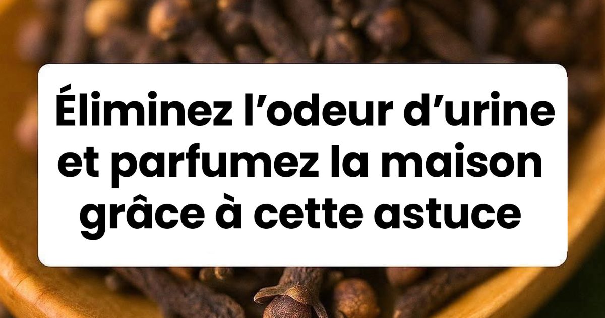 Une astuce infaillible pour éliminer l'odeur d'urine et parfumer la maison