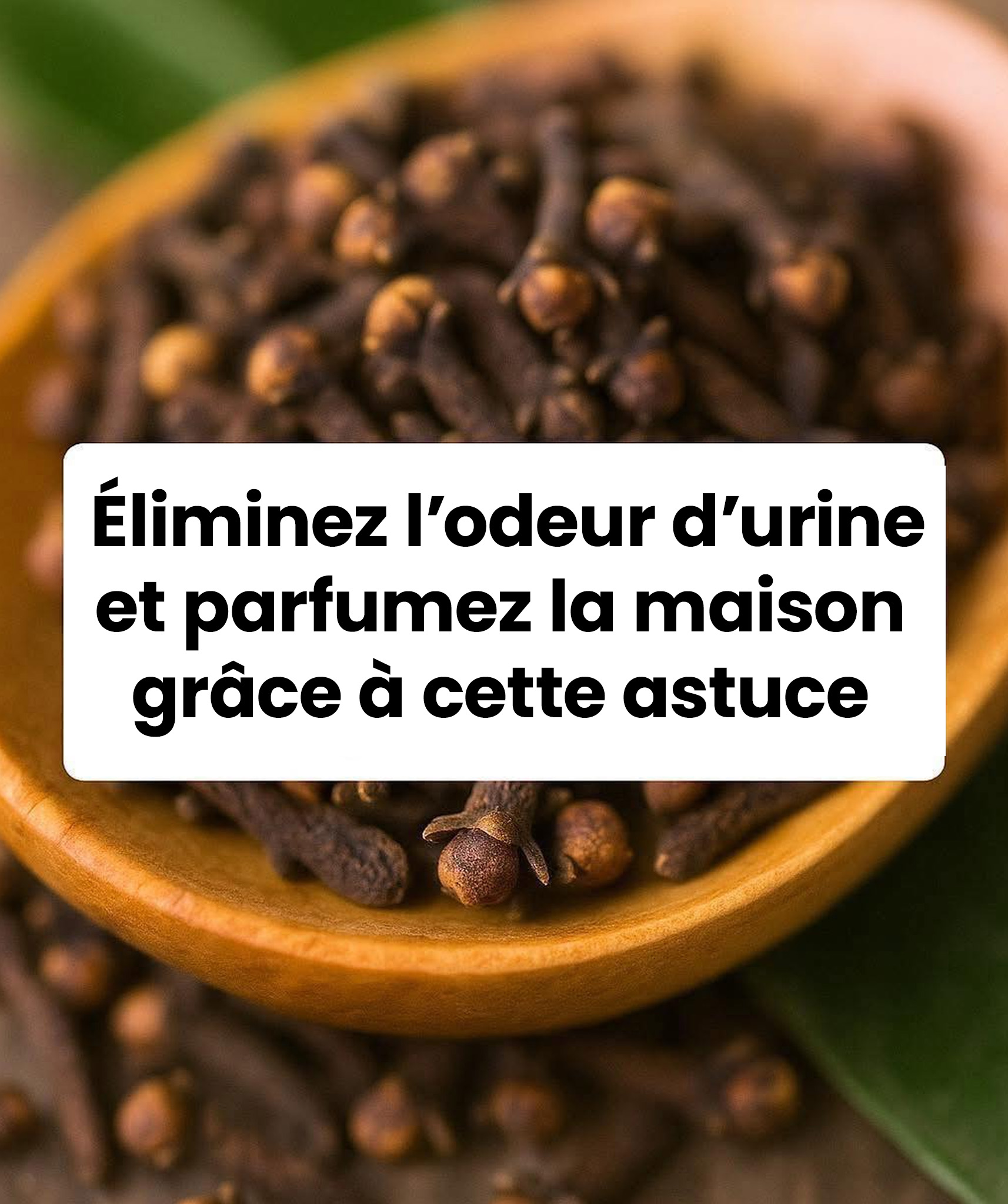 Une astuce infaillible pour éliminer l'odeur d'urine et parfumer la maison