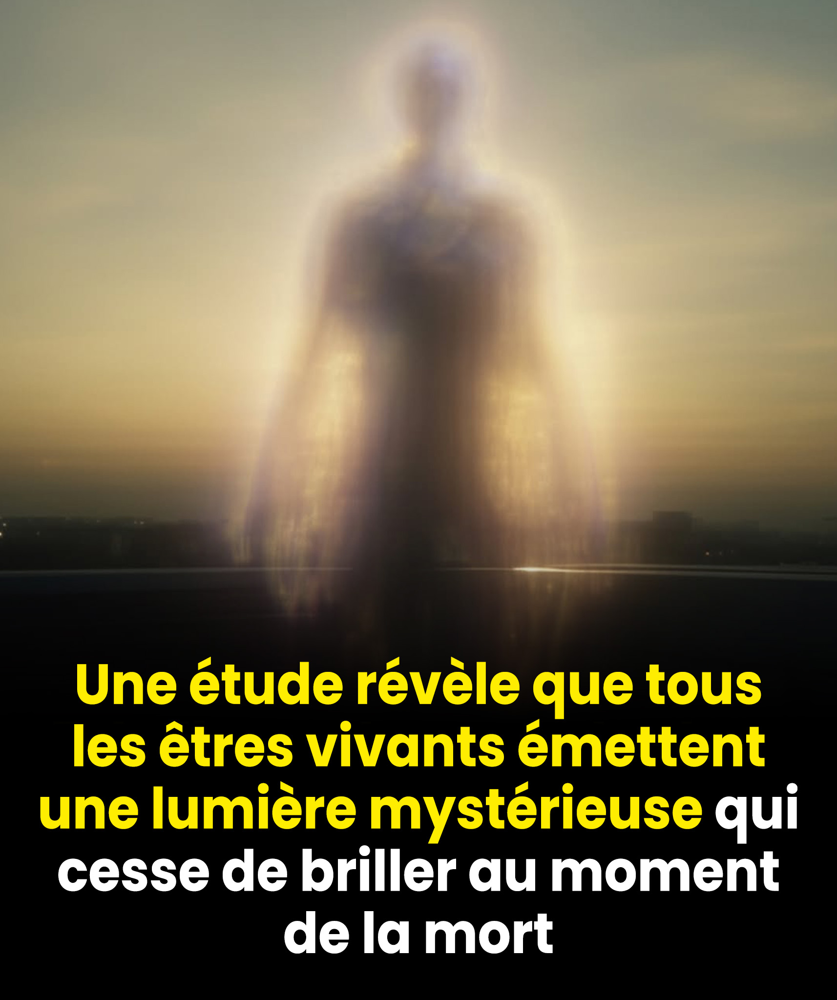 Une étude révèle que tous les êtres vivants émettent une lumière mystérieuse qui cesse de briller au moment de la mort