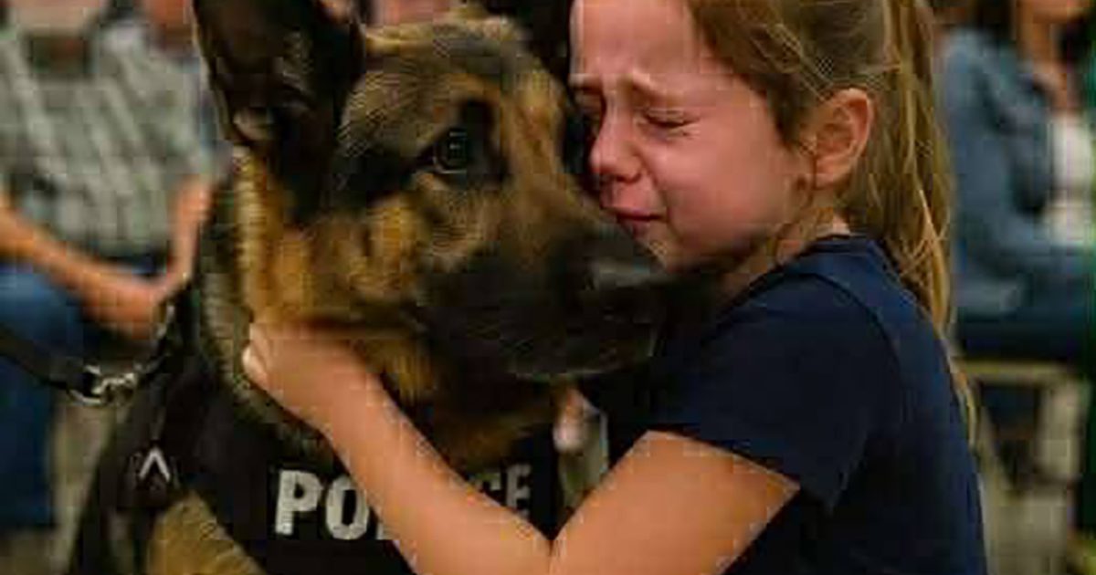 Une fillette entre seule dans une vente aux enchères de chiens policiers — ce qui s’est passé ensuite a ému toute la salle aux larmes