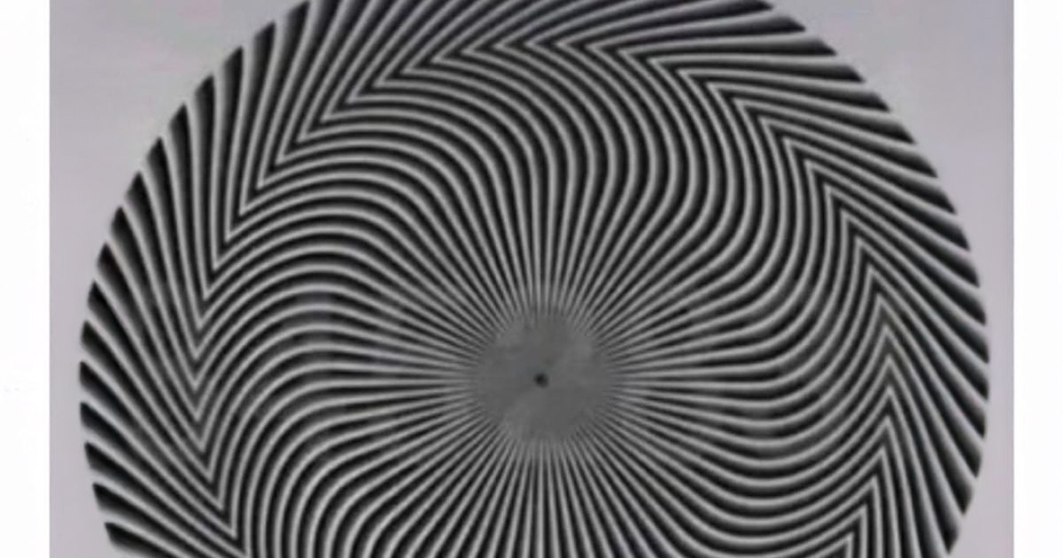 Une illusion d’optique révèle un nombre caché — et chacun le perçoit différemment
