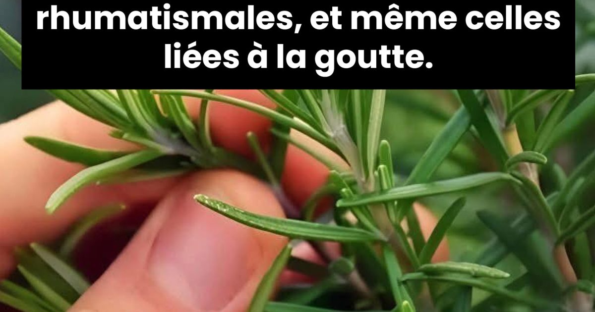Une infusion qui fait du bien