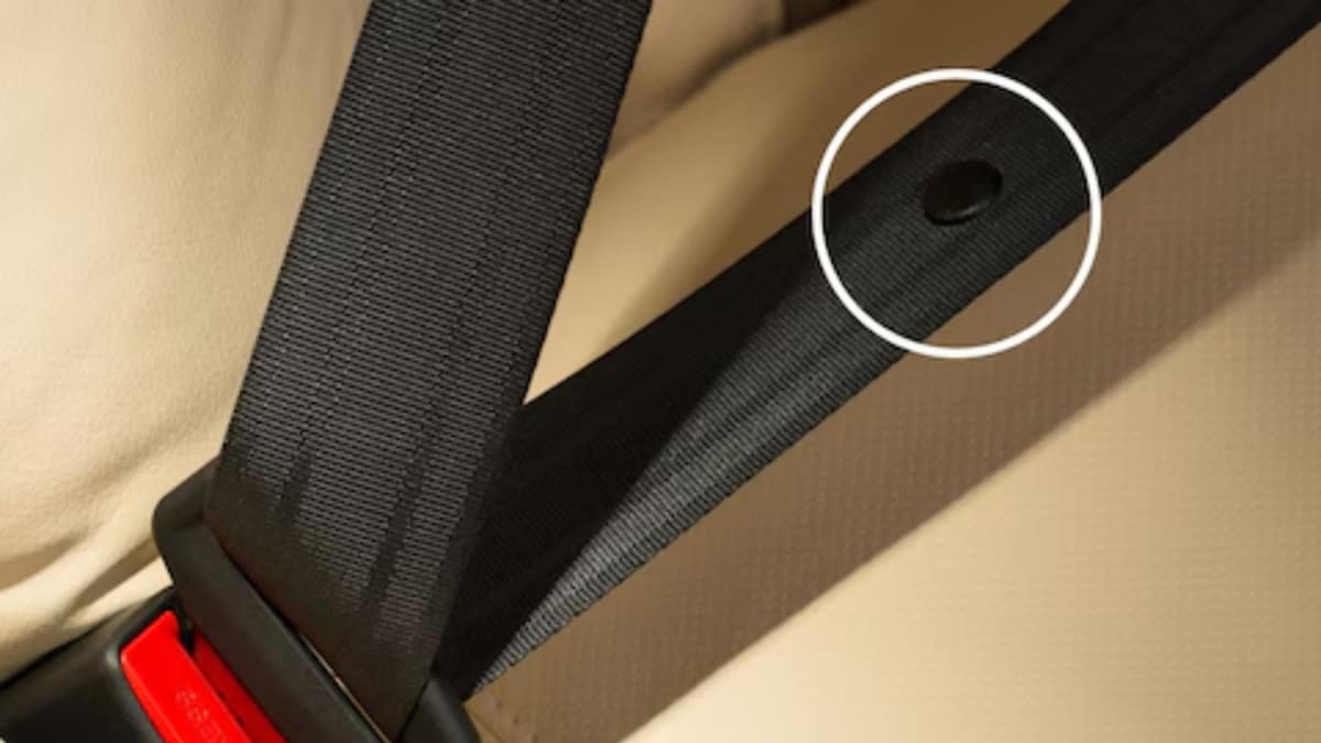 Ce bouton minuscule sur votre ceinture de sécurité cache une fonction que vous ignorez probablement