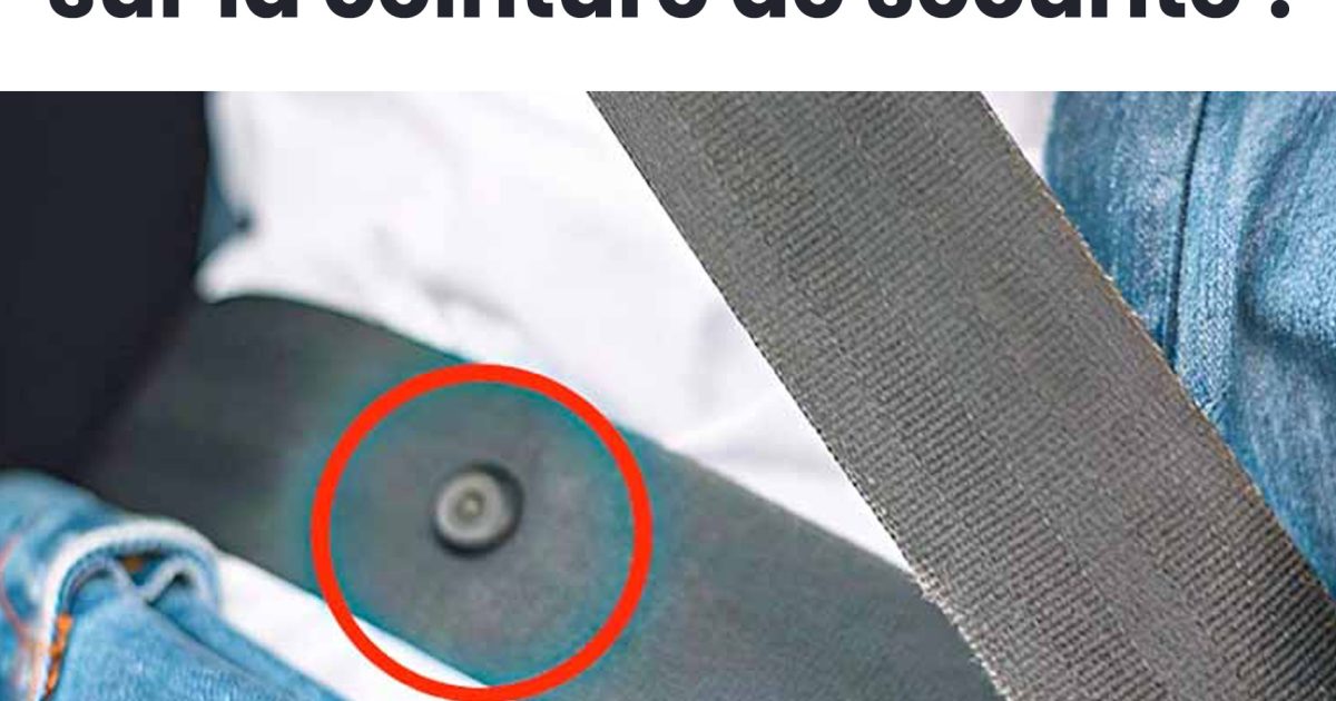 Voici à quoi sert vraiment le petit bouton sur les ceintures de sécurité