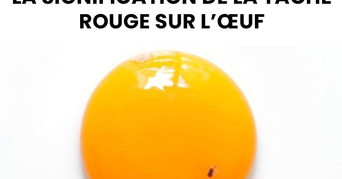 Voici ce que cela signifie lorsqu’un œuf contient un tache rouge
