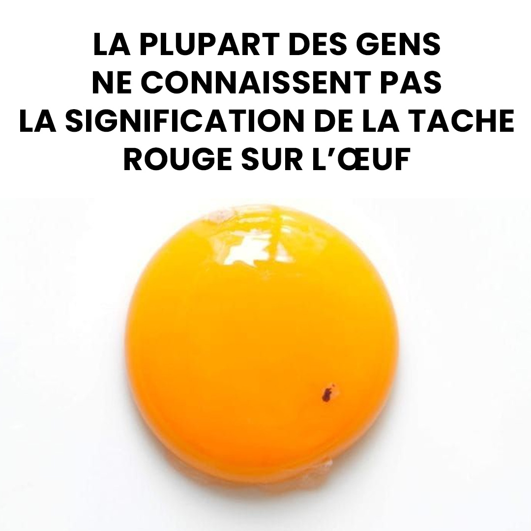 Voici ce que cela signifie lorsqu’un œuf contient un tache rouge