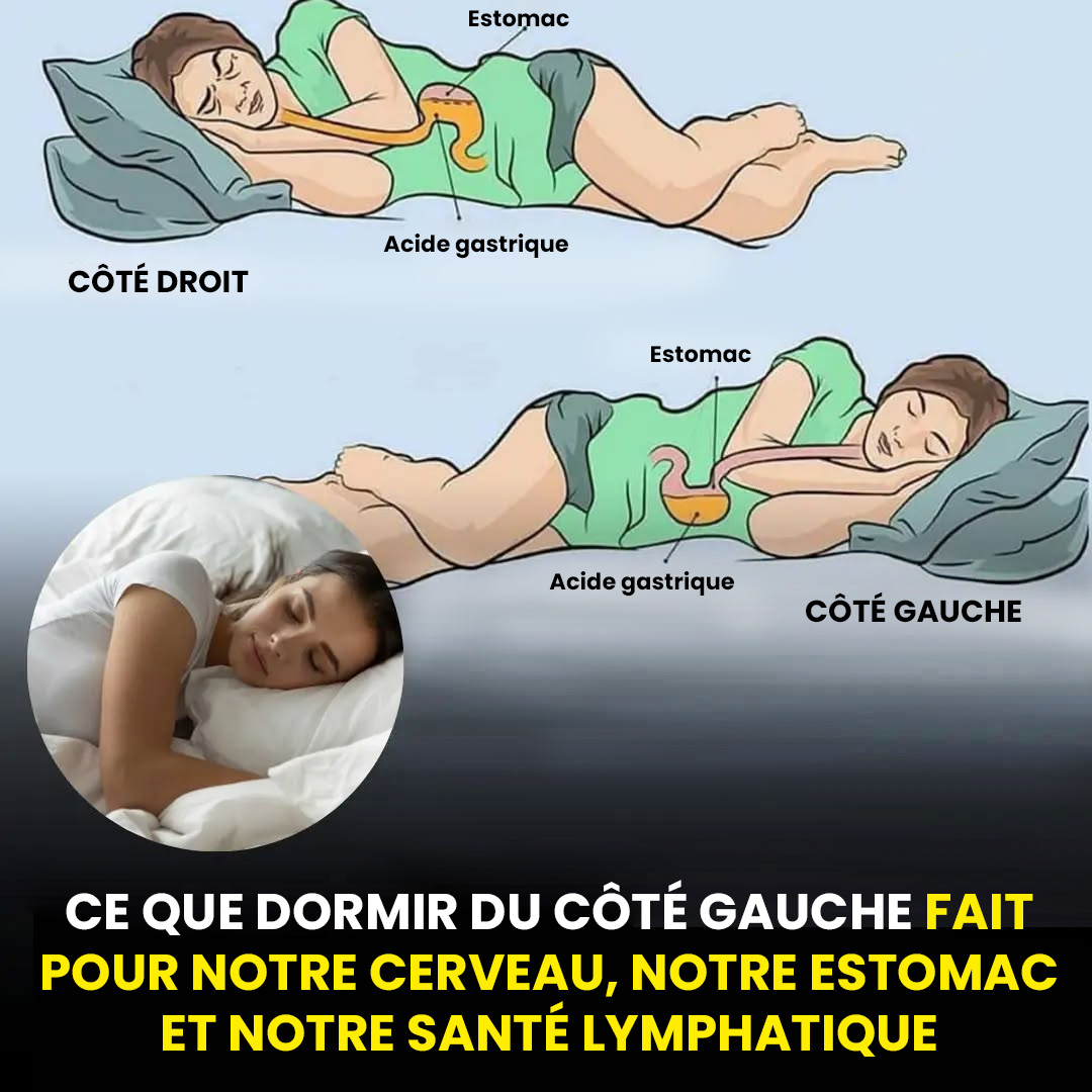 Voici ce que dormir sur le côté gauche fait à notre cerveau, à notre estomac et à notre système glymphatique